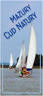 Mazury Cud Natury